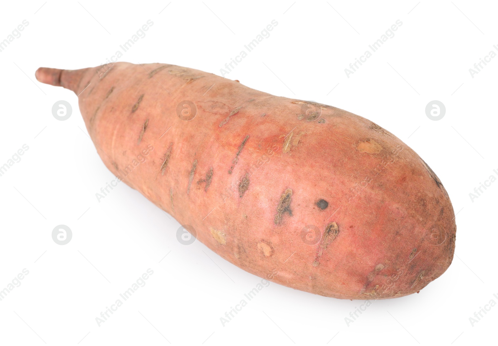 Photo of One fresh sweet potato isolated on white. Vegetable root