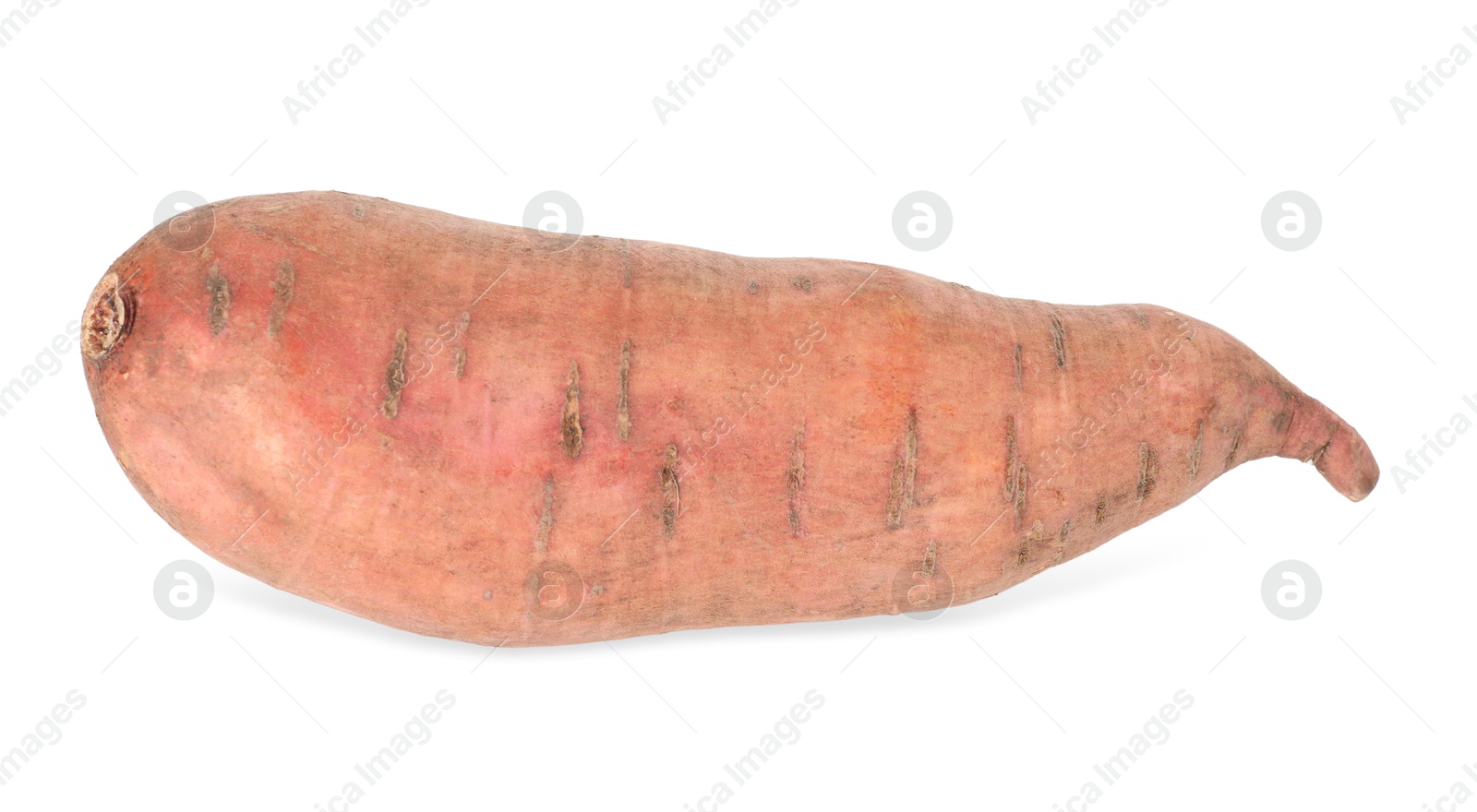 Photo of One fresh sweet potato isolated on white, above view. Vegetable root