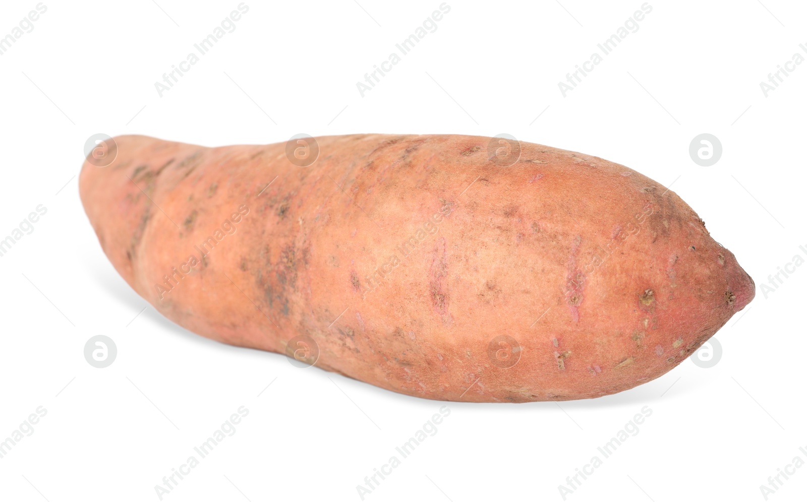 Photo of One fresh sweet potato isolated on white. Vegetable root