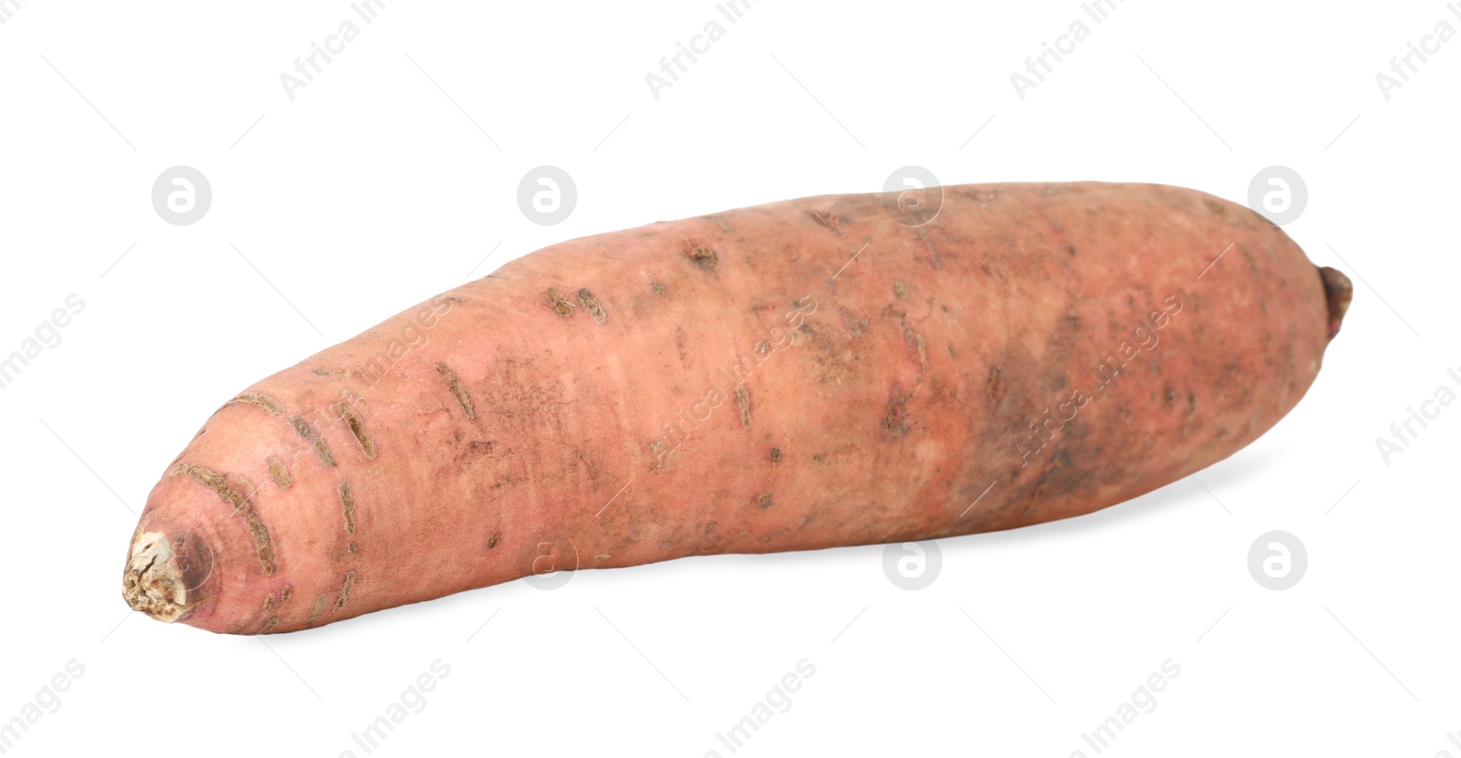 Photo of One fresh sweet potato isolated on white. Vegetable root