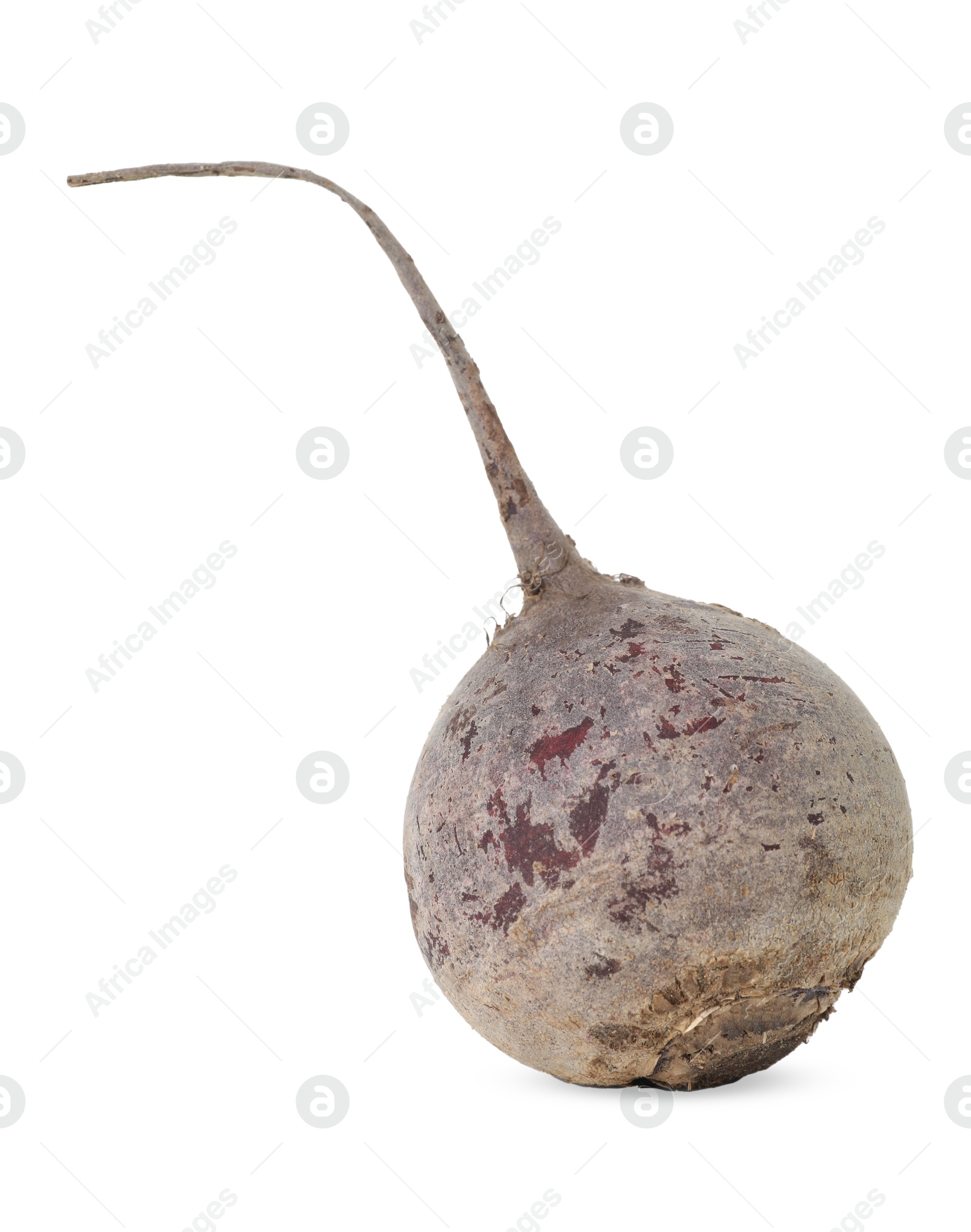 Photo of One fresh beetroot isolated on white. Vegetable root