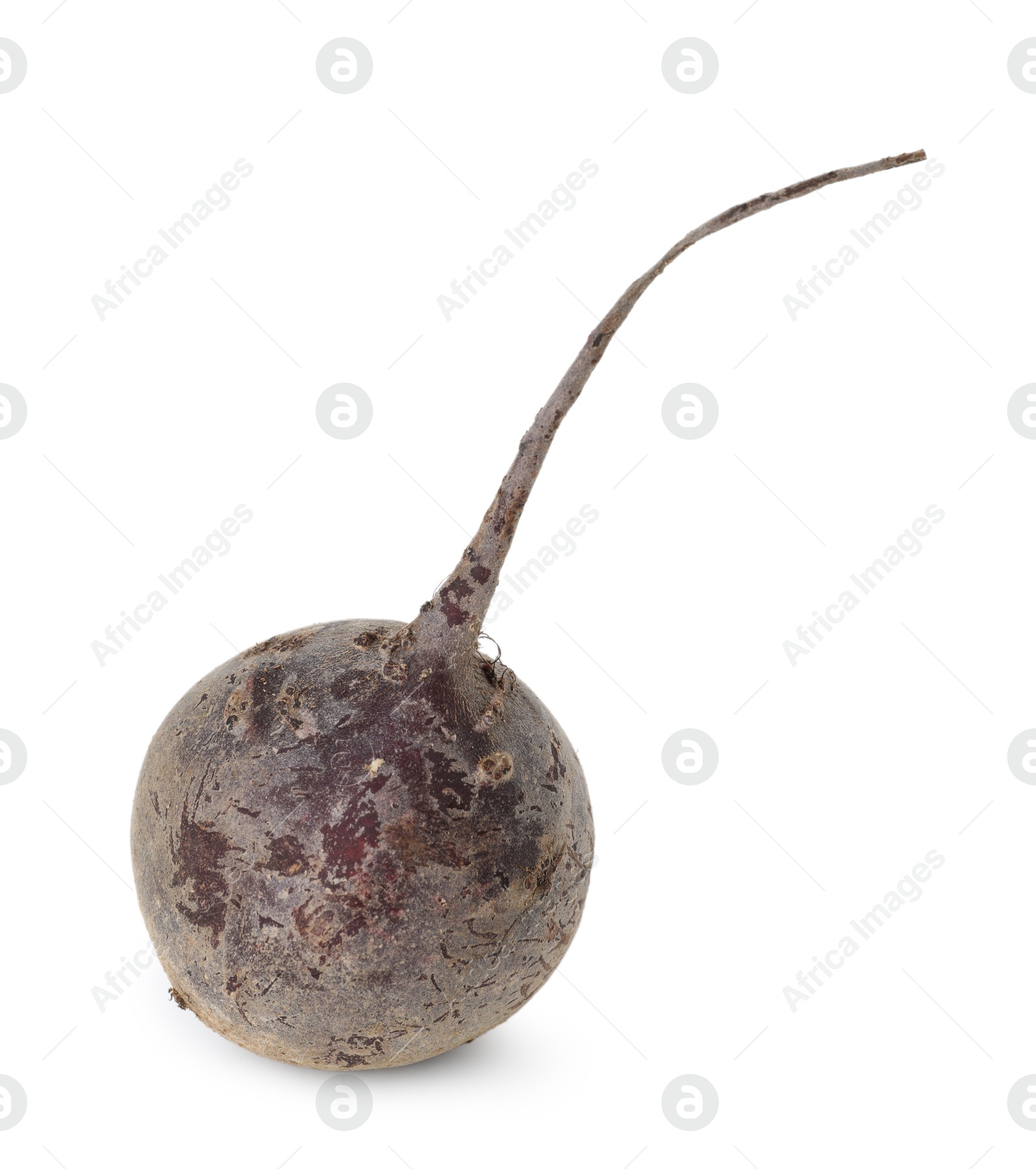 Photo of One fresh beetroot isolated on white. Vegetable root