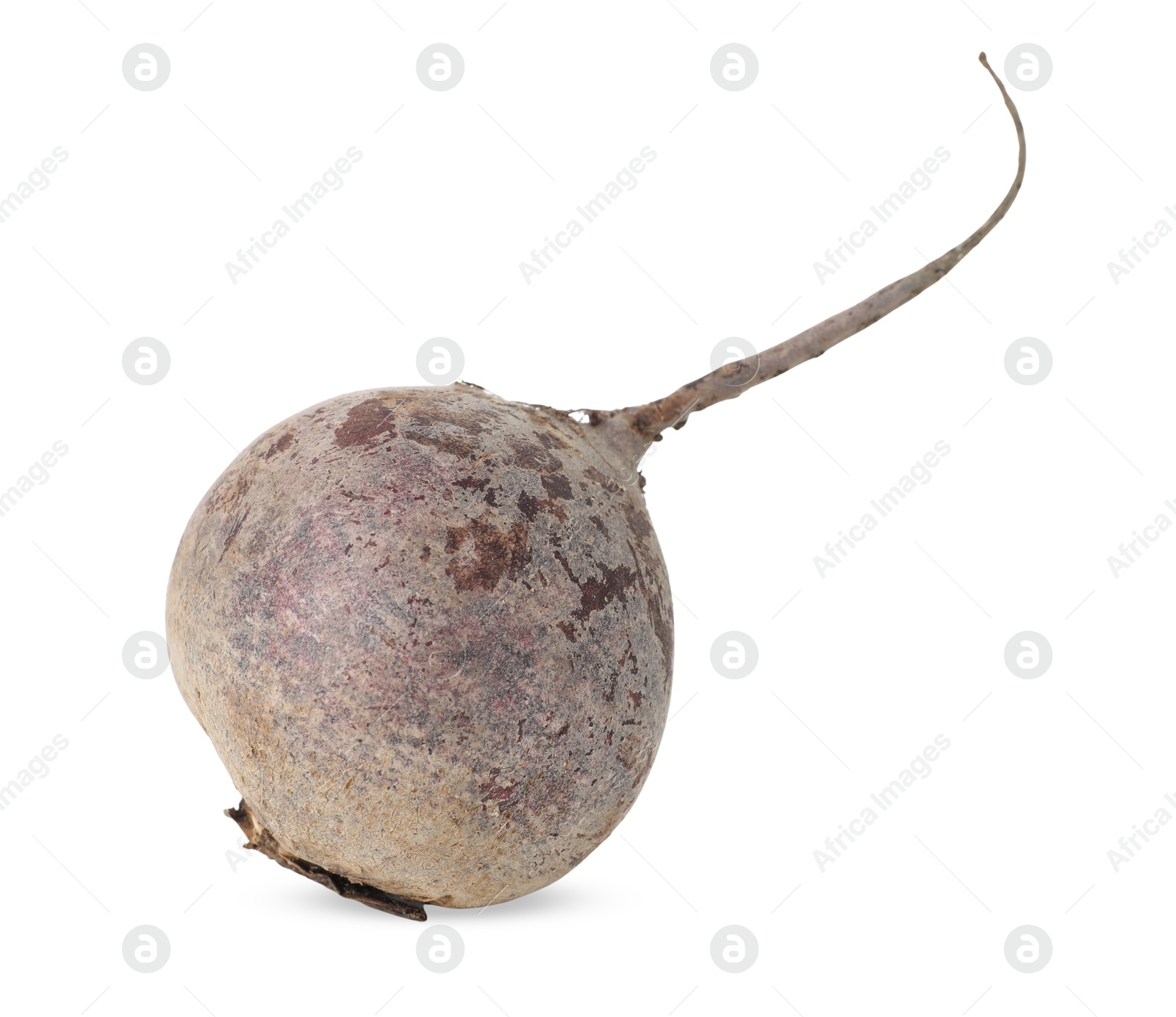 Photo of One fresh beetroot isolated on white. Vegetable root