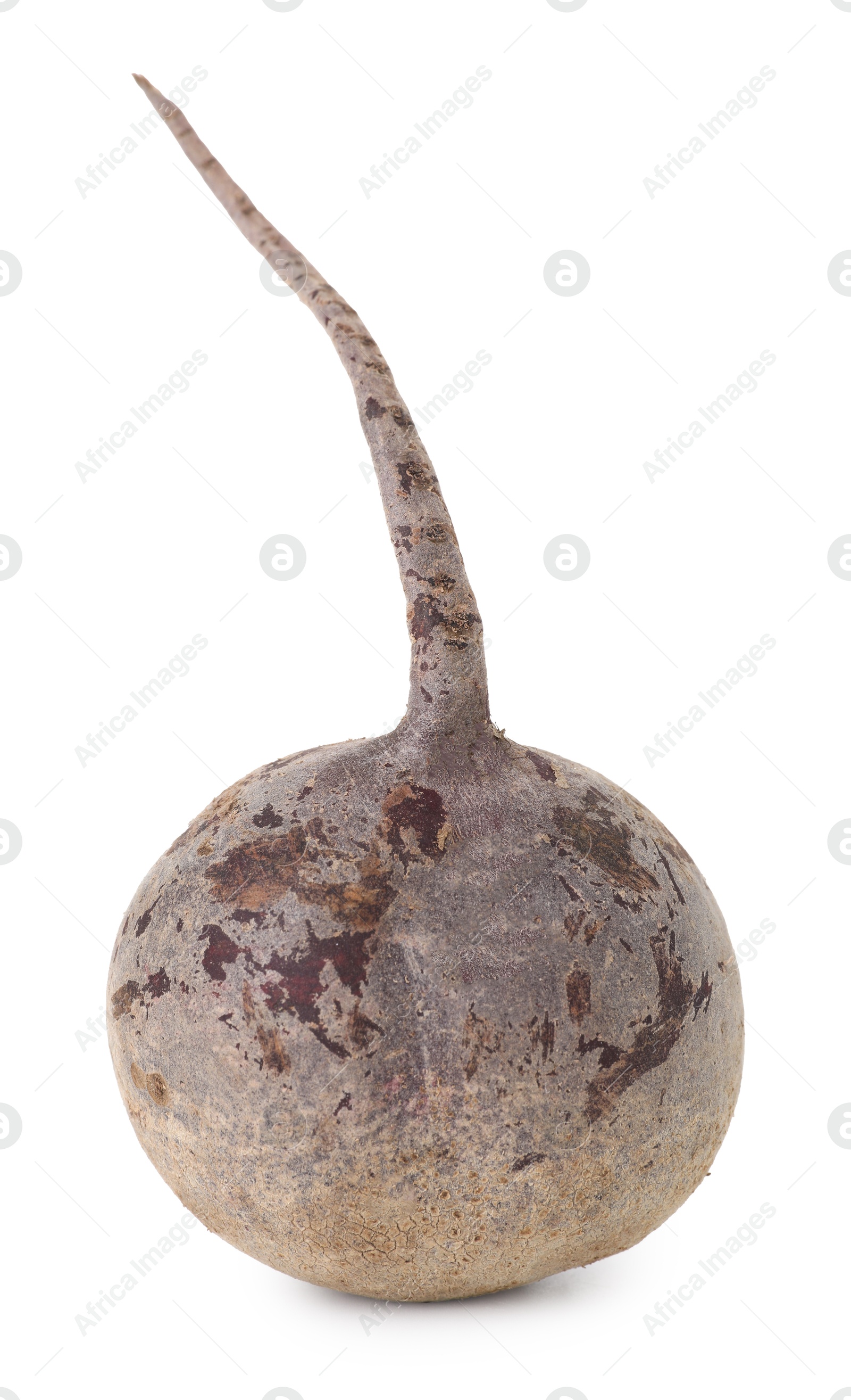 Photo of One fresh beetroot isolated on white. Vegetable root