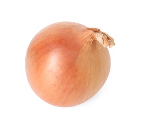 Photo of One fresh onion isolated on white. Vegetable root