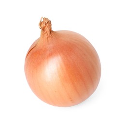 Photo of One fresh onion isolated on white. Vegetable root