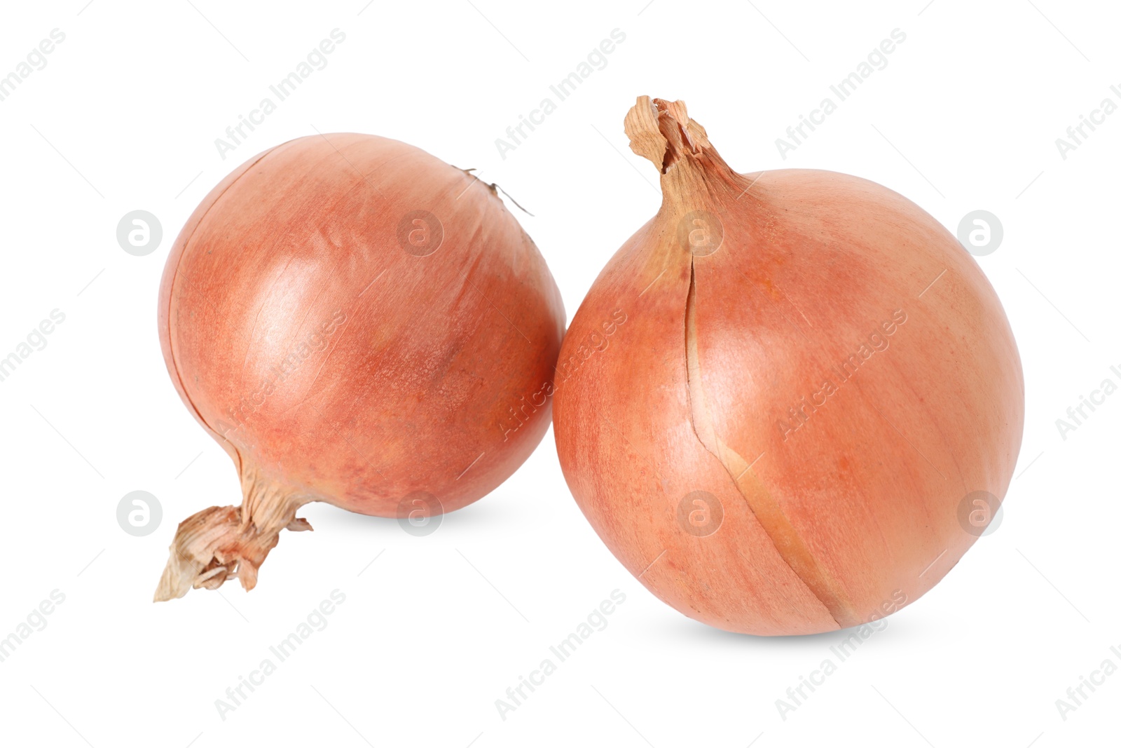 Photo of Fresh onions isolated on white. Vegetable root