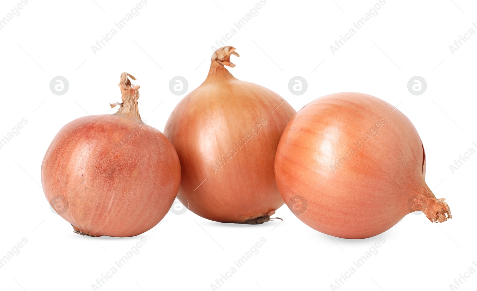 Photo of Fresh onions isolated on white. Vegetable root