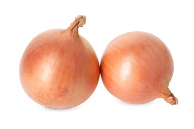 Photo of Fresh onions isolated on white. Vegetable root