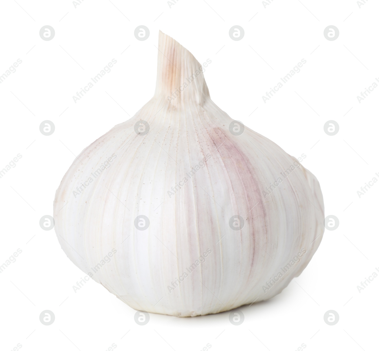 Photo of One fresh garlic bulb isolated on white. Vegetable root