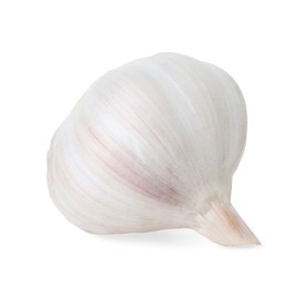 Photo of One fresh garlic bulb isolated on white. Vegetable root