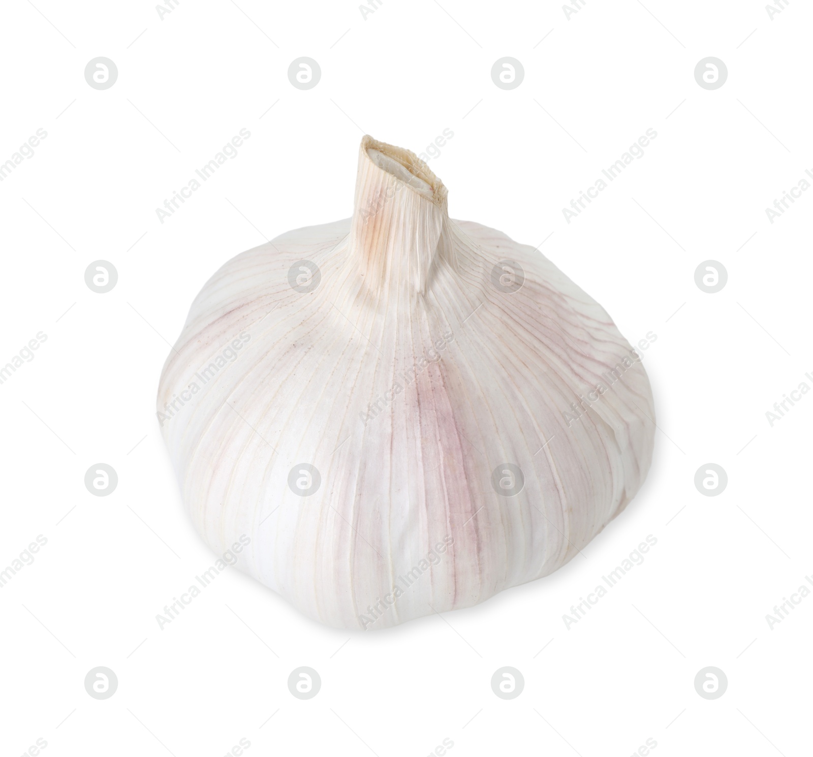 Photo of One fresh garlic bulb isolated on white. Vegetable root