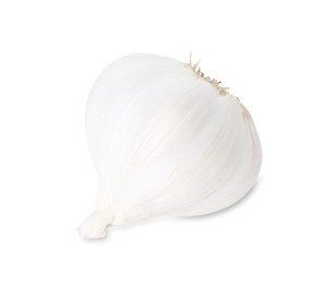 Photo of One fresh garlic bulb isolated on white. Vegetable root