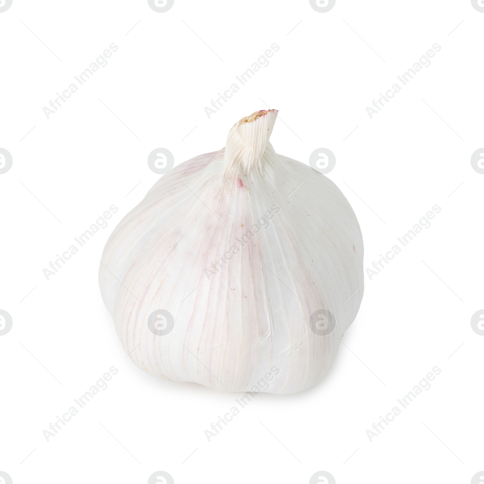 Photo of One fresh garlic bulb isolated on white. Vegetable root