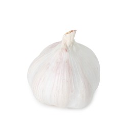 Photo of One fresh garlic bulb isolated on white. Vegetable root