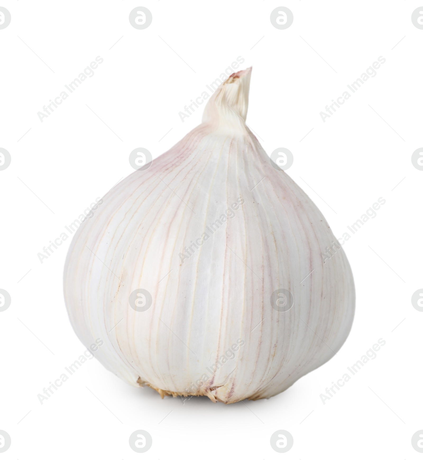 Photo of One fresh garlic bulb isolated on white. Vegetable root