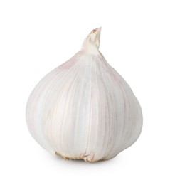 Photo of One fresh garlic bulb isolated on white. Vegetable root