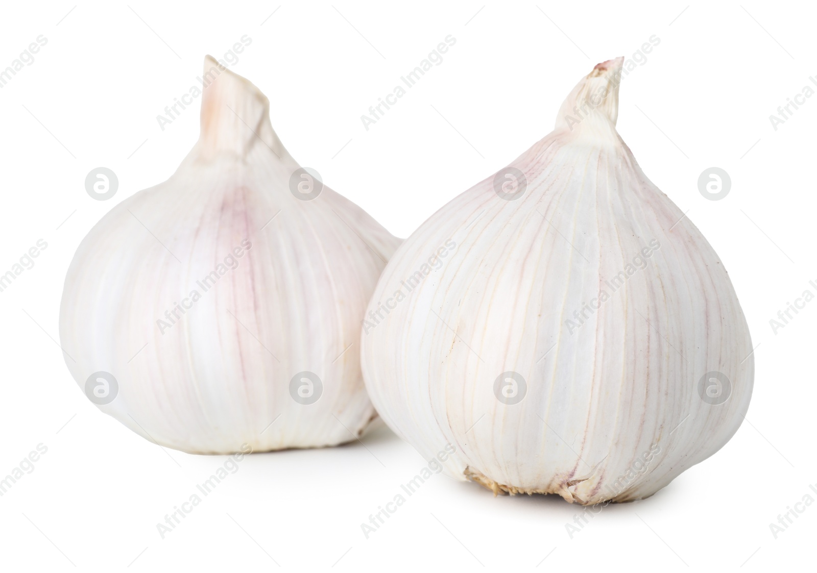 Photo of Fresh garlic bulbs isolated on white. Vegetable root