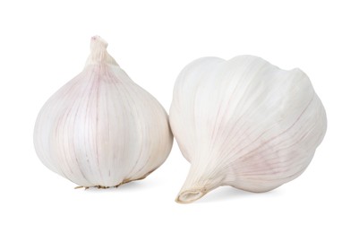 Photo of Fresh garlic bulbs isolated on white. Vegetable root