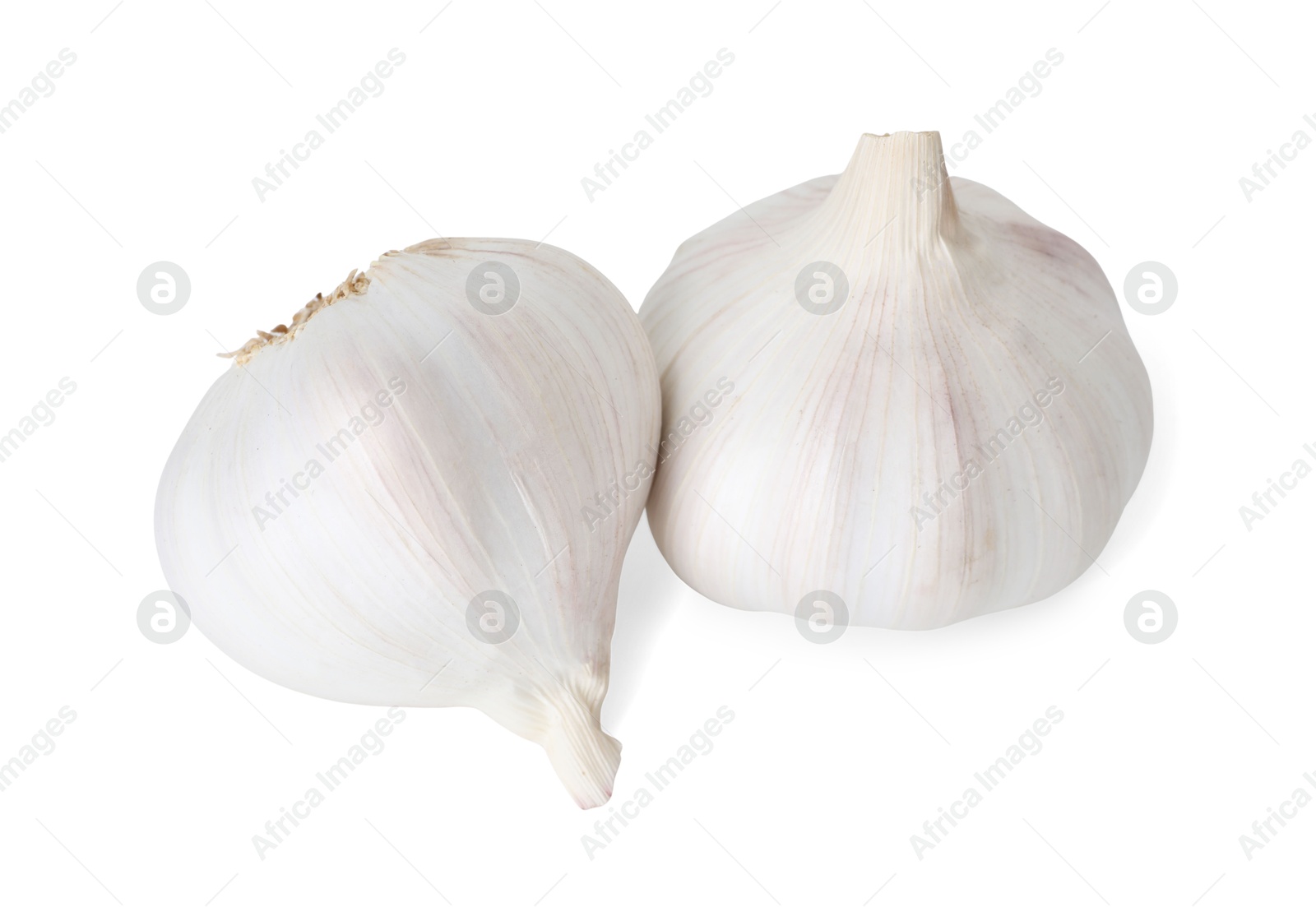 Photo of Fresh garlic bulbs isolated on white. Vegetable root