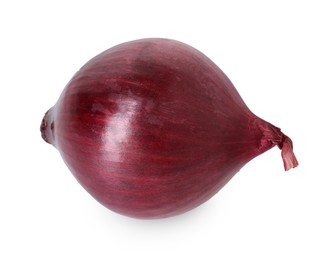 Photo of Fresh red onion isolated on white. Vegetable root