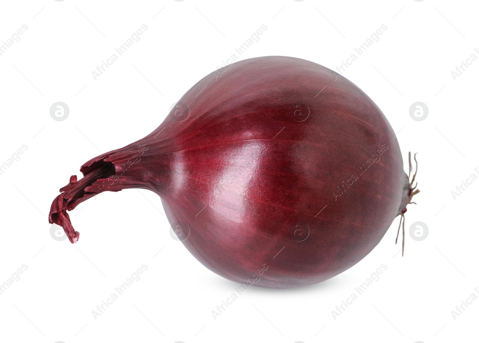 Photo of Fresh red onion isolated on white. Vegetable root