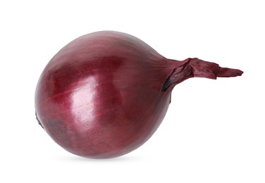 Photo of Fresh red onion isolated on white. Vegetable root