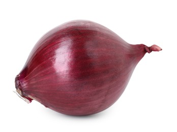 Photo of Fresh red onion isolated on white. Vegetable root