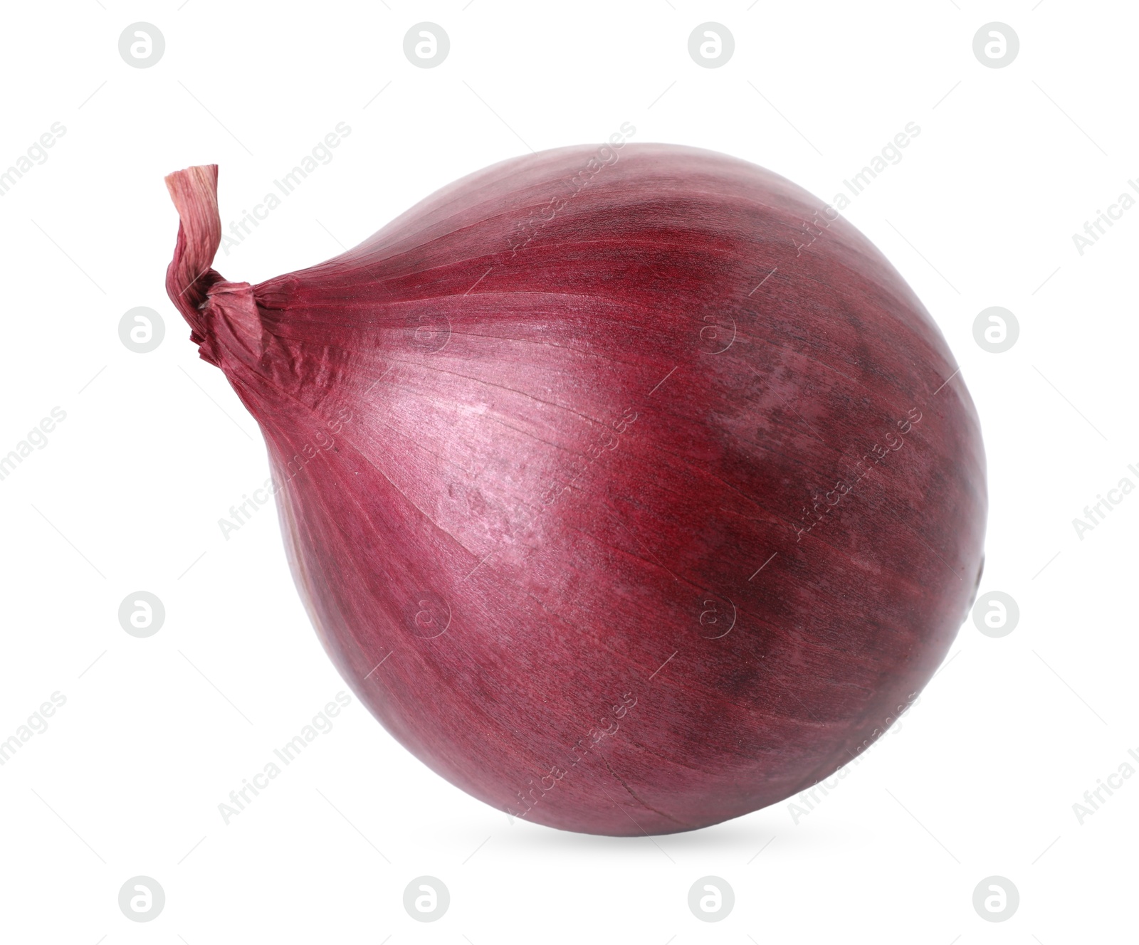 Photo of Fresh red onion isolated on white. Vegetable root