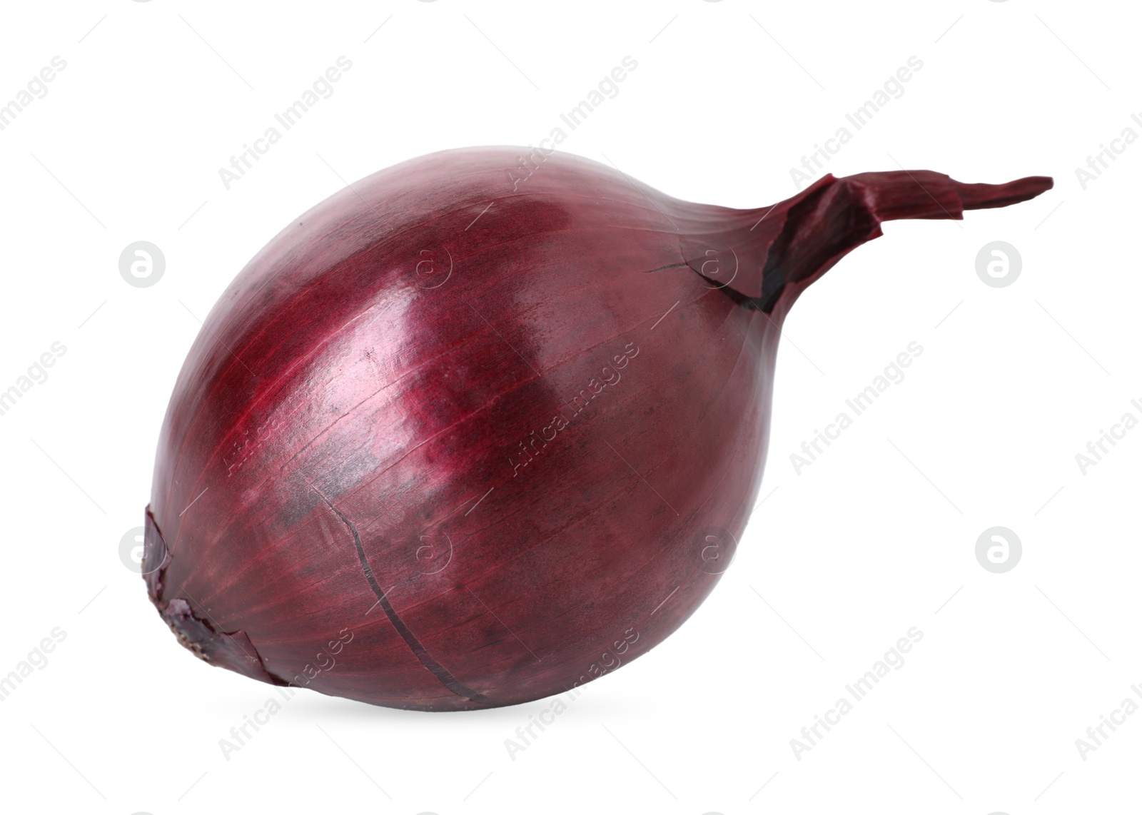 Photo of Fresh red onion isolated on white. Vegetable root