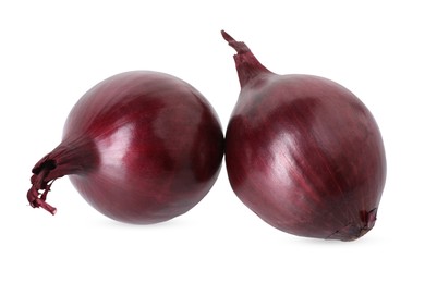 Photo of Fresh red onions isolated on white. Vegetable root