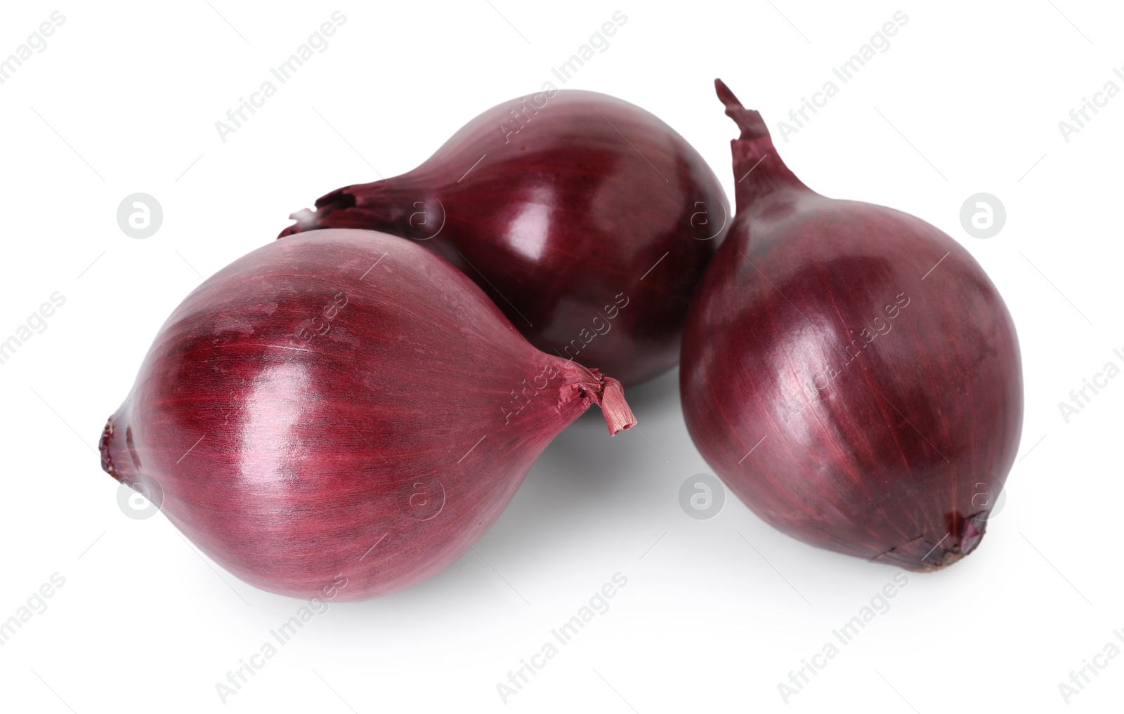 Photo of Fresh red onions isolated on white. Vegetable root