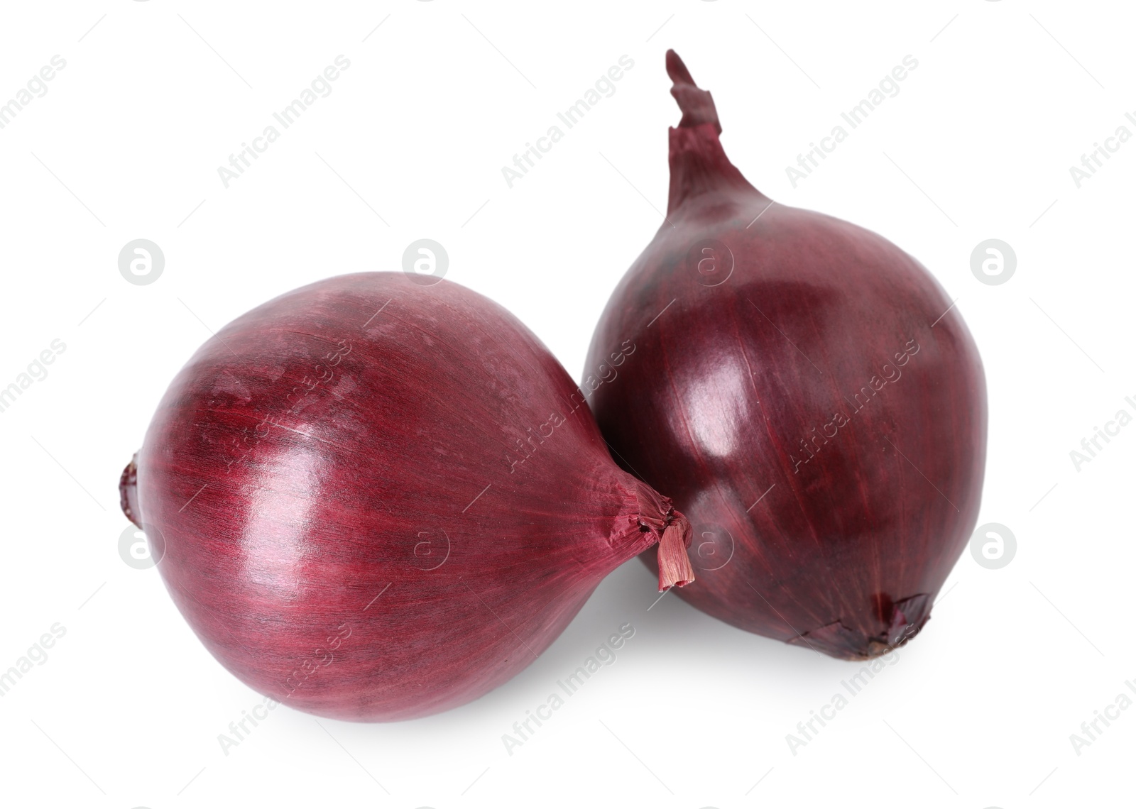 Photo of Fresh red onions isolated on white. Vegetable root