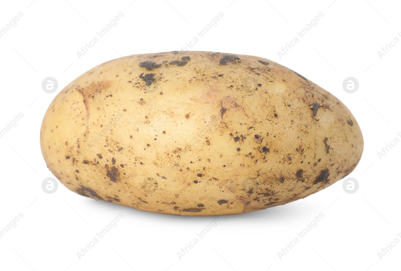 Photo of Fresh raw potato isolated on white. Vegetable root