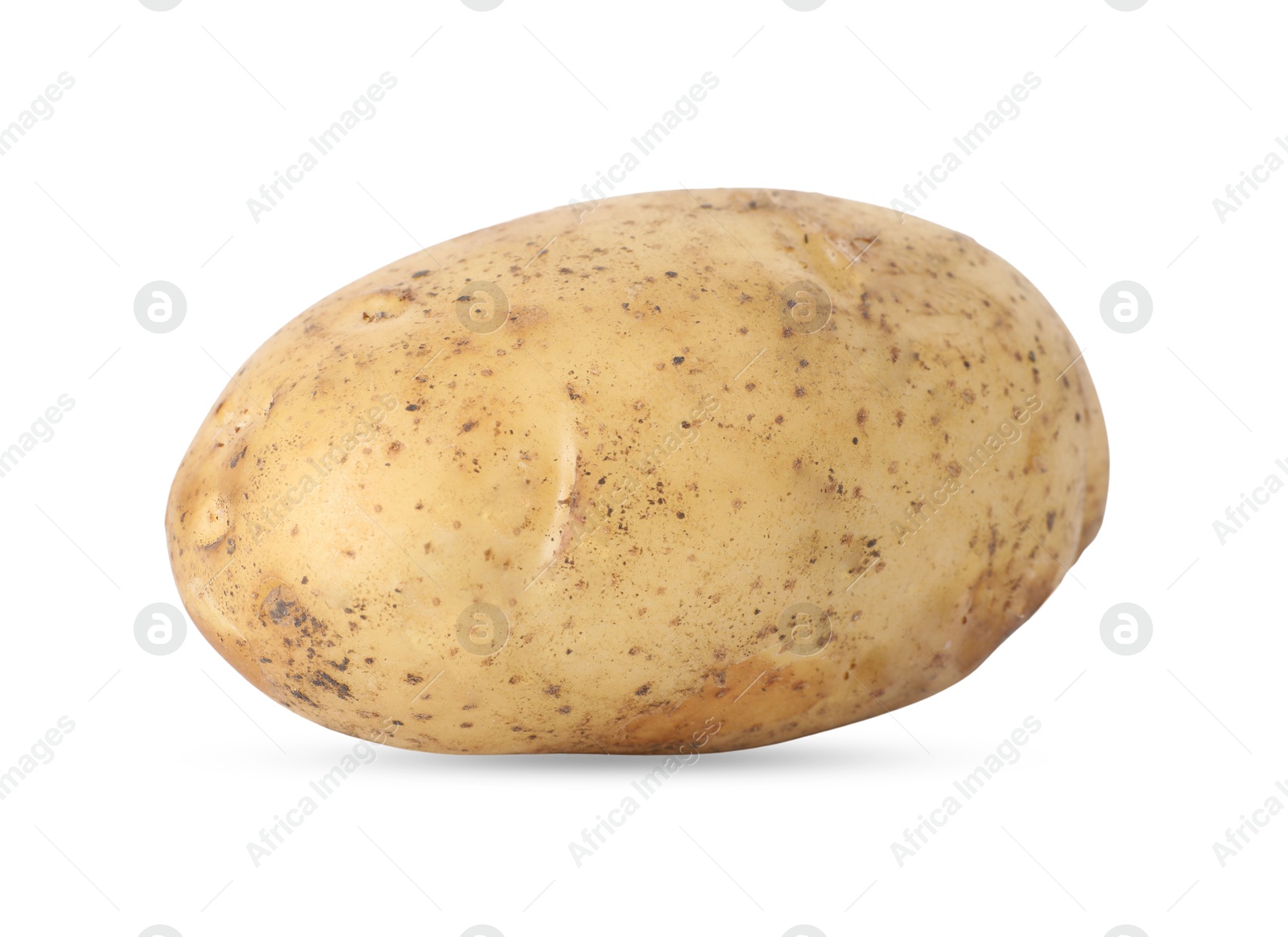 Photo of Fresh raw potato isolated on white. Vegetable root