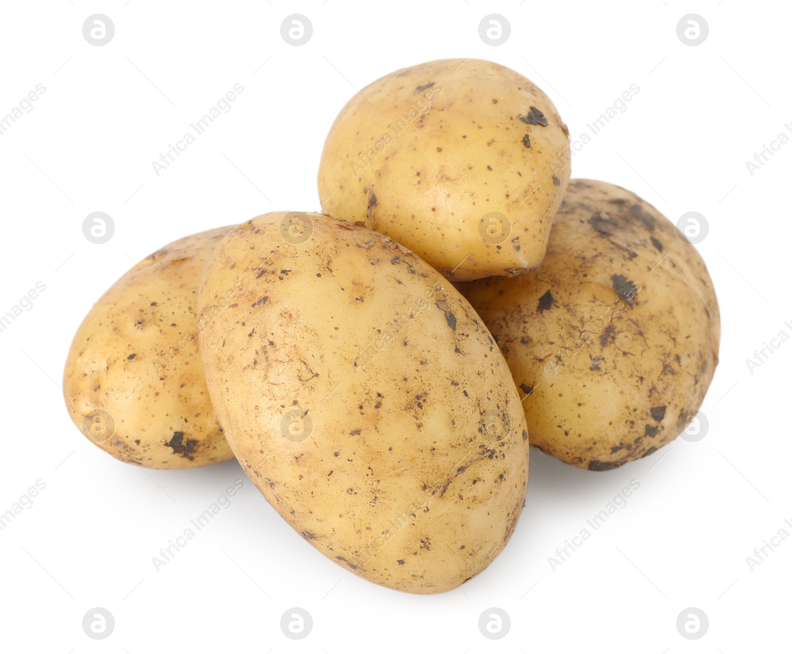 Photo of Fresh raw potatoes isolated on white. Vegetable root