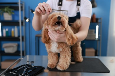 Photo of Woman brushing cute dog with comb indoors, closeup. Pet grooming