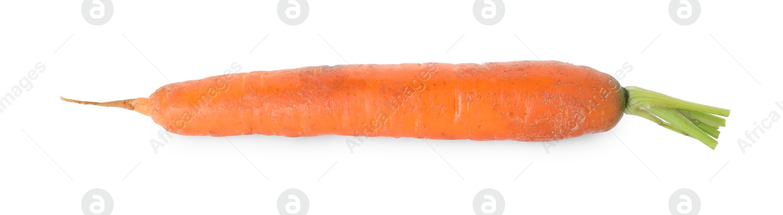 Photo of One fresh carrot isolated on white. Root vegetable