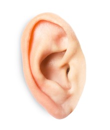 Photo of Woman on white background, closeup of ear