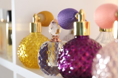 Photo of Different bottles of luxury perfume on shelf in store, closeup