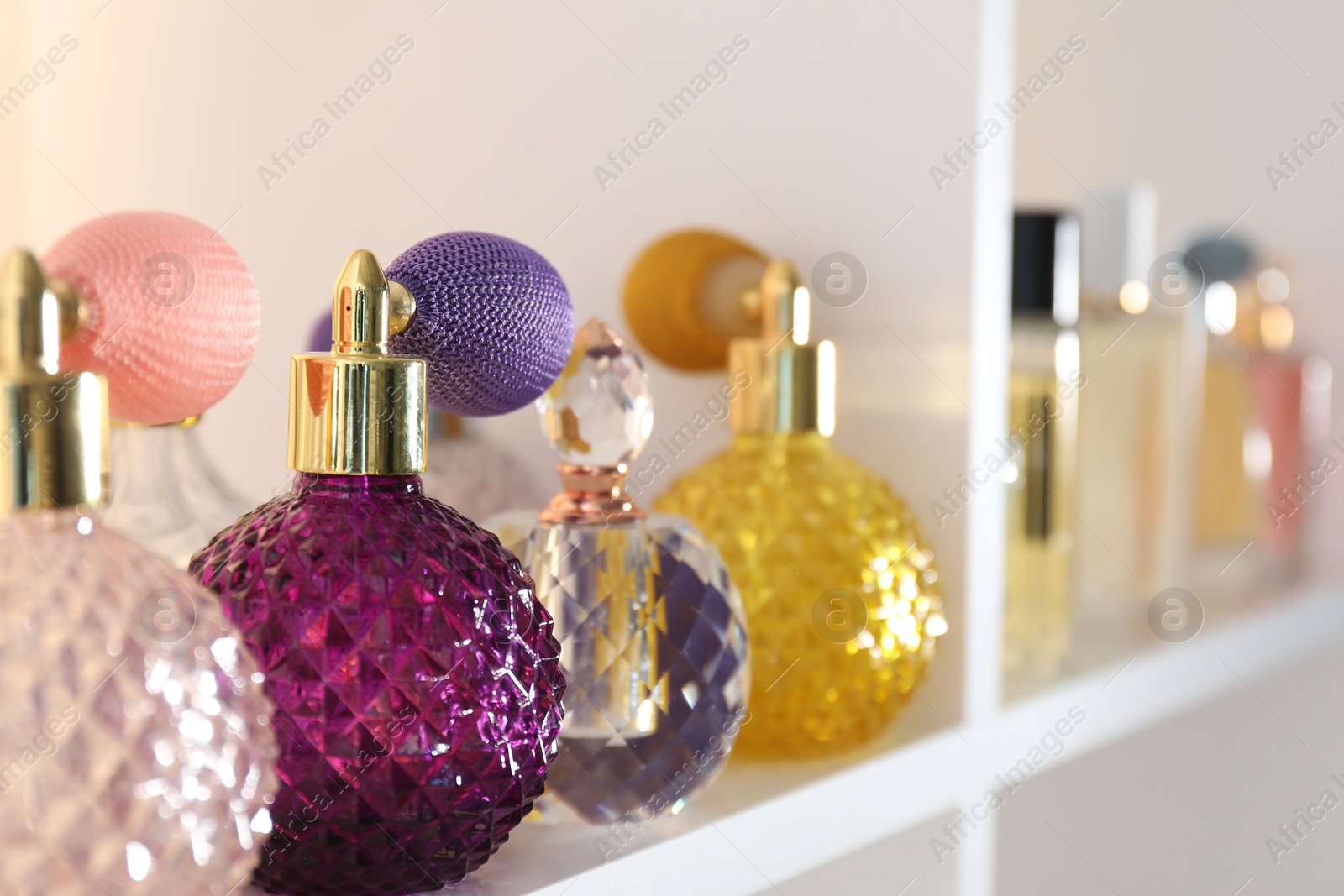 Photo of Different bottles of luxury perfume on shelf in store, closeup