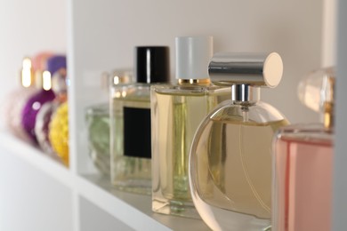 Photo of Different bottles of luxury perfume on shelf in store, closeup