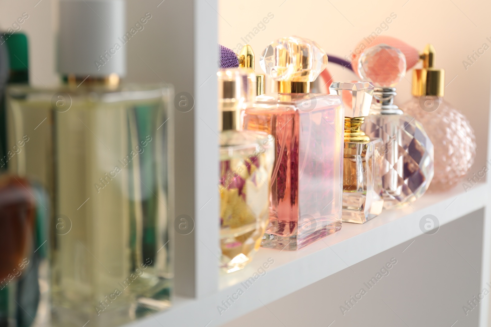 Photo of Different bottles of luxury perfume on shelf in store, closeup