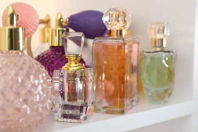 Photo of Different bottles of luxury perfume on shelf in store, closeup