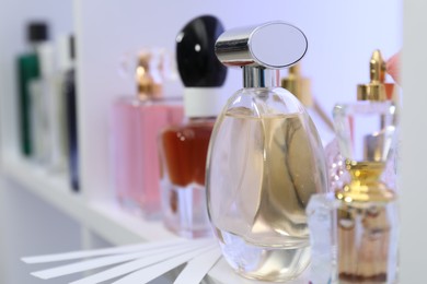 Photo of Different bottles of luxury perfume and fragrance blotters on shelf in store, closeup