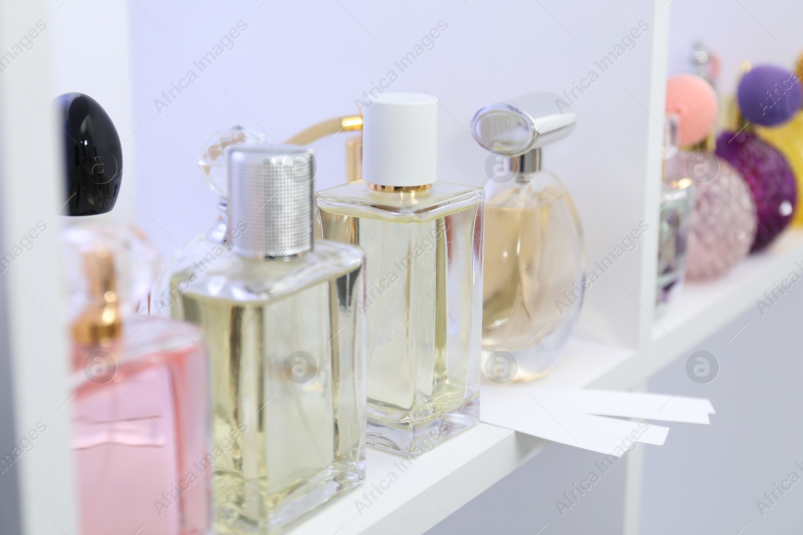 Photo of Different bottles of luxury perfume and fragrance blotters on shelf in store, closeup