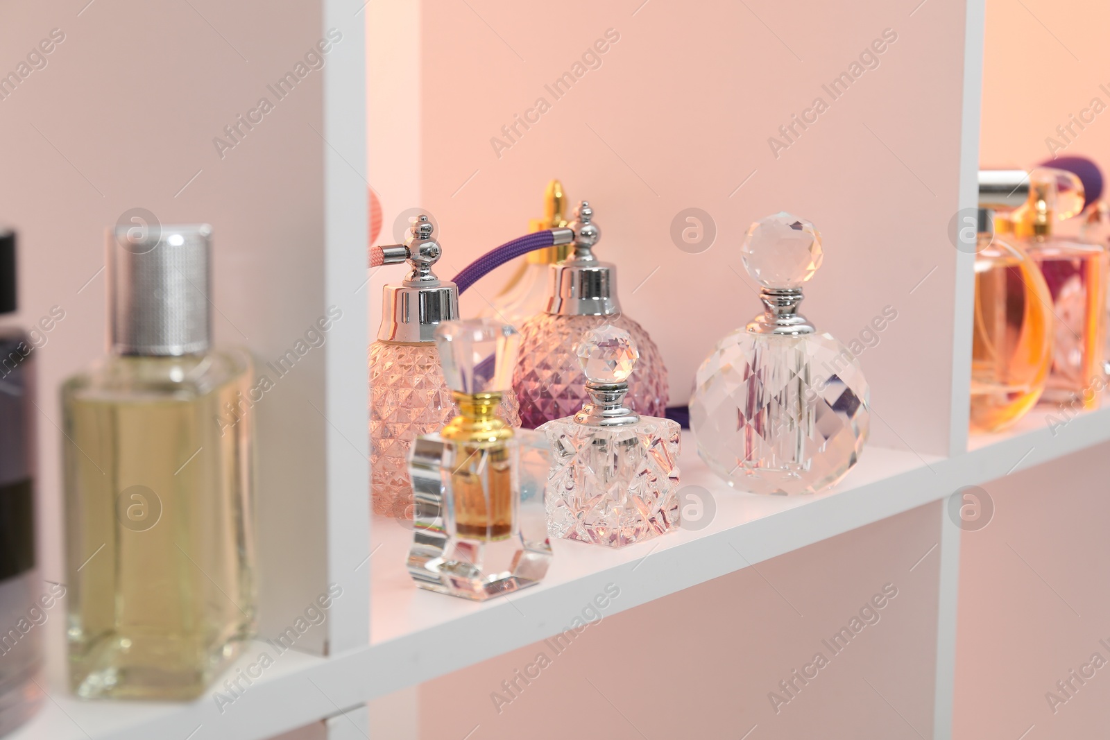 Photo of Different bottles of luxury perfume on shelf in store, closeup