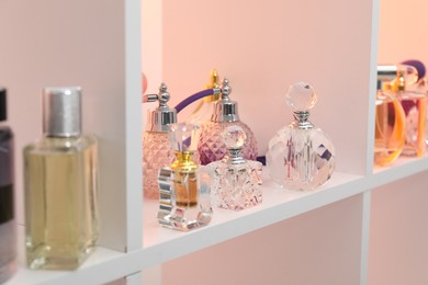 Photo of Different bottles of luxury perfume on shelf in store, closeup