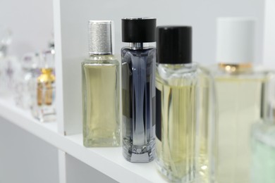 Different bottles of luxury perfume on shelf in store, closeup