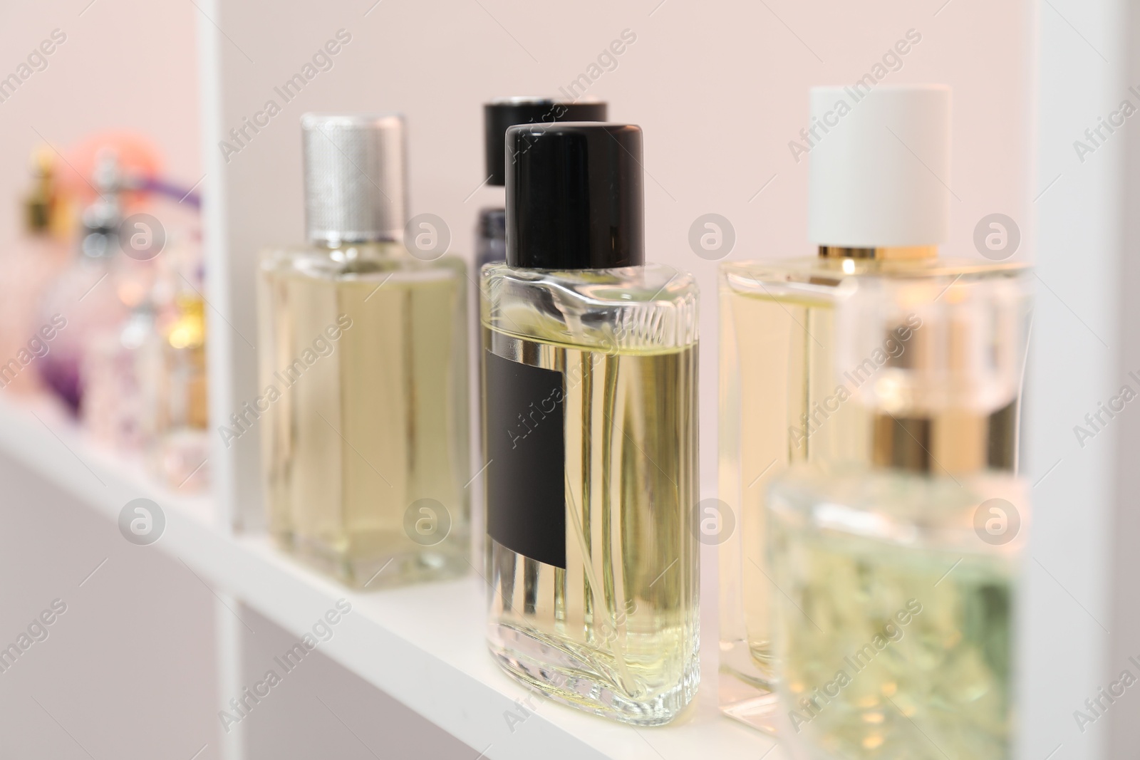 Photo of Different bottles of luxury perfume on shelf in store, closeup